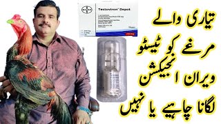 Testoviran Depot injection Murga Ko Lagana Chaya Ya Nahi l Murga Ko Injection Lagana Ka Nuksan [upl. by Neenaej]