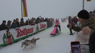 Internationales Schlittenhunderennen Todtmoos 2019  Impressionen vom 26012019 [upl. by Etteve]