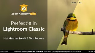 Masterclass Perfectie in Lightroom Classic met Tom Reuvers  Zoomnl [upl. by Greabe]