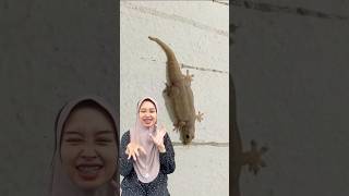 Gimana suara cicak shorts [upl. by Arihsaj]