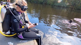 Diving for Shark Teeth In Black Water We Spotted an Alligator [upl. by Trakas]