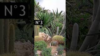 10 Idées de Jardin EXOTIQUE 🌴😍 [upl. by Abdella649]