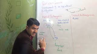 parthinogenesis haploid and diploid parthinogenesis in urdu by Dr Hadi [upl. by Fishbein364]