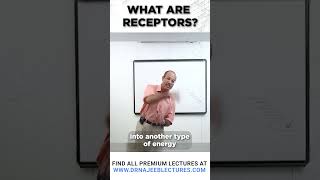 What are the receptors drnajeeblectures drnajeeb shortvideo [upl. by Lustig589]