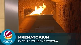 Feuerbestattungen während Corona Die Arbeit im Krematorium in Celle [upl. by Kraus745]