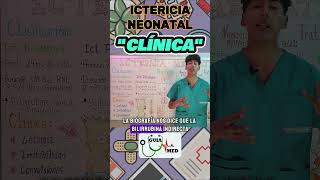 ICTERICIA NEONATAL SÍNTOMAS  GuiaMed pediatria medicina ictericia [upl. by Rebmyt]