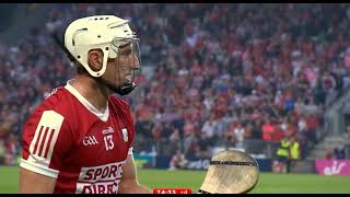 LAST MINUTE  CELEBRATIONS  CORK V LIMERICK  2024 MUNSTER HURLING CHAMPIONSHIP [upl. by Earehs64]