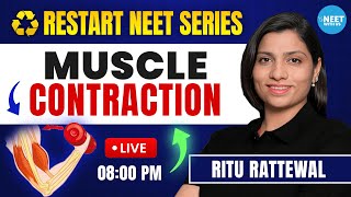 Muscle Contraction Mechanism  Locomotion and Movement  NEET Biology  Ritu Rattewal [upl. by Korrie311]