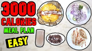 The EASIEST Way To Eat 3000 Calories In A Day To Gain Weight amp Build Muscle [upl. by Odlaner]