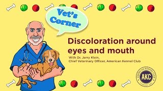 Discoloration around Eyes and Mouth  Vets Corner with Dr Jerry Klein [upl. by Hildie891]