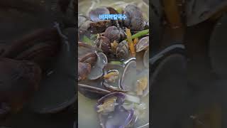 대부도바지락칼국수 Noodle Soup with Clams 蛤仔刀削面 アサリきしめんです 인천 남동구 방문하면 생기는일 최초공개 shorts [upl. by Hawthorn620]