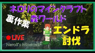 森ワールド作業配信03 エンドラ討伐 [upl. by Ainocal486]