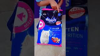 drools cat food review 😺 shortsfeed catfood shorts ytshorts review [upl. by Marius4]