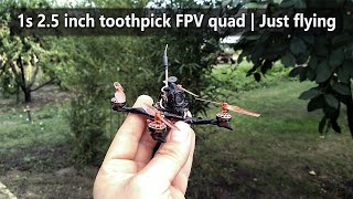 1s 25 inch Toothpick FPV quad  Just flying [upl. by Marcelle]