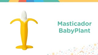 Conoce nuestro masticador BabyPlant [upl. by Ynneb]