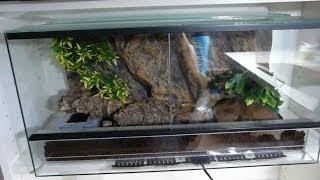 🦎 Como PREPARAR un TERRARIO para GECKO LEOPARDO  Como hacer terrario para Gecko Leopardo [upl. by Kurland]