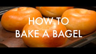 Tokyo Bakery  Plain Bagel Recipe 簡単なベーグル作り [upl. by Lothario]