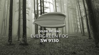 Color del Año 2022 Evergreen Fog SW 9130 [upl. by Karub]