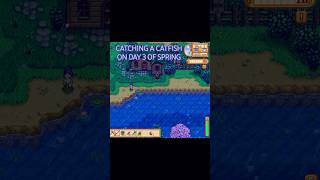 Catching a Catfish on Day 3 of Spring in stardewvalley 🎣✨ [upl. by Hanah108]