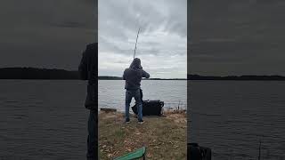 Pole Bending Catfish tries To Take My Fishing Pole [upl. by Boj]