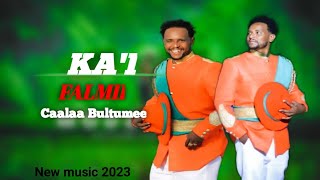 Caalaa bultumee kai Falmii new oromn music oromomusic visionentertainment vrecorder [upl. by Adnyl]