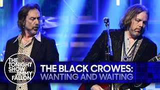 The Black Crowes Wanting and Waiting  The Tonight Show Starring Jimmy Fallon [upl. by Ittap266]