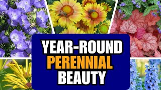 Best Perennial Flowers to Transform Your Garden [upl. by Serica]