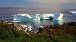 Wild Magical Moments at Tuckamore Lodge Newfoundland [upl. by Loomis972]