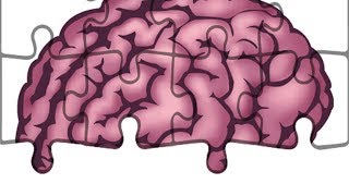 Anatomie  Hirnnerven Nervus Vestibulocochlearis [upl. by Haral]