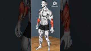 top 3 forums workout fitness viral gym shortvideo shorts short workout [upl. by Neeuq875]