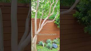 DIY Wall Cladding Projects garden backyard wallpanel cladding decoration wall mexytech diy [upl. by Pitarys]