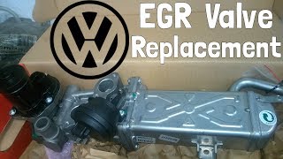 Volkswagen EGR Valve Replacement  How To [upl. by Yauq191]