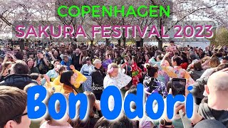 Bon Odori by Nihonjinkai  Copenhagen Sakura Festival 2023 🌸 [upl. by Vidal879]