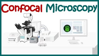 Confocal microscopy  What is the difference between confocal and fluorescence microscopy [upl. by Anaeg79]