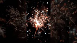 Happy Diwali 🪔🎇🎇🎇 4k Status Video shortsvideo happydiwali papu status creative [upl. by Archibold169]