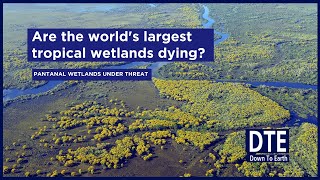 Is climate change killing Pantanal the worlds largest tropical wetlands [upl. by Standish]