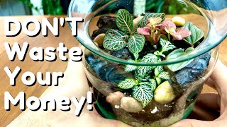 DONT Buy A Terrarium  Make Your Own [upl. by Hesky]