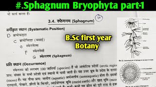 Sphagnum Bryophyte part1 Sphagnum Morphology and Anatomy BSc first year Botany second semester [upl. by Fenton]