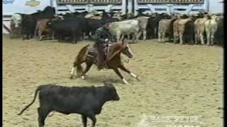 Spots Hot  2004 NCHA Open Futurity champion [upl. by Anatniuq]