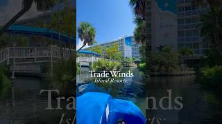 TradeWinds Island Resorts  St Pete Beach  Things To Do Tampa Bay [upl. by Arundel]