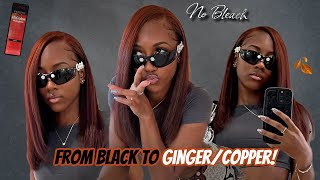 Dying My Natural Hair from Black to Ginger 🍂  NO BLEACH  Step by Step  Loreal HiColor🧡 [upl. by Benildis]