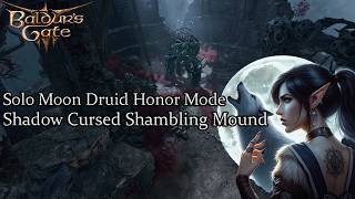 Solo Moon Druid Shadow Cursed Shambling Mound Honor Run [upl. by Solhcin]