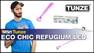 Tunze EcoChic Refugium LED  Its waterproof Literally light your refugium from every angle [upl. by Nyliac530]