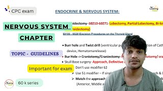 Nervous system ll Guidelines ll cpc aapc medicalcoding cpcexam [upl. by Stewart863]