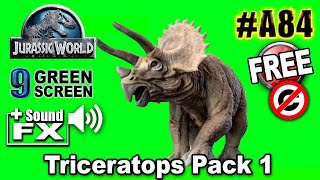 Triceratops Green Screen 3D [upl. by Nayb]