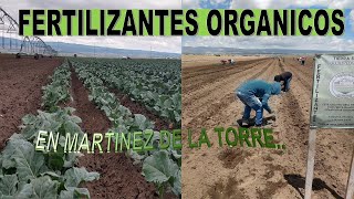 ABONOS ORGANICOS LA MEJOR ALTERNATIVA PARA SUS CULTIVOS [upl. by Artiek947]