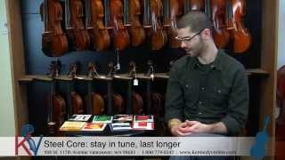 Different Kinds of Violin Strings [upl. by Brittain]