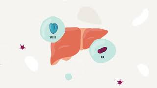 Hemophilia and Gene Therapy [upl. by Atinihs]