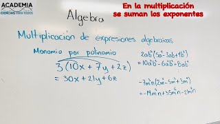 Multiplicación algebraica Monomios y polinomios [upl. by Menzies]