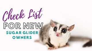 What you NEED for Sugar Gliders  Sugar Glider Diaries [upl. by Anavoig]